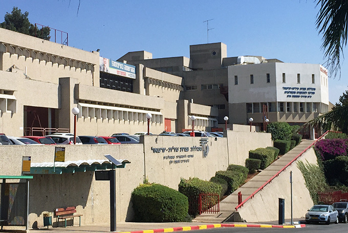 תערוכת